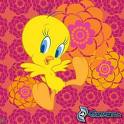 tweety.jpg